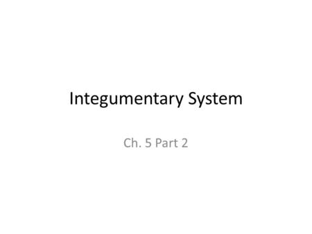 Integumentary System Ch. 5 Part 2. Skin Physiology Vitamin D Deficiency – Skin needs UV rays to initiate production of vitamin D – Vitamin D is turned.