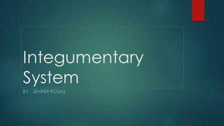 Integumentary System BY : JENIFER ROSAS. Organs of the Integumentary System  Epidermis: Is the outer thinnest layer of the skin.  Hairs: A outgrowth.