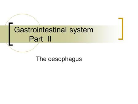 Gastrointestinal system Part II The oesophagus. A muscular tube Conduction of food and drink Sphincters at top and bottom.