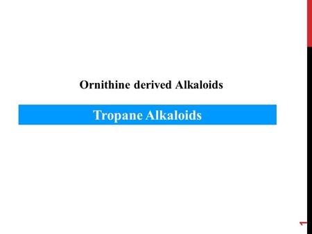 Ornithine derived Alkaloids