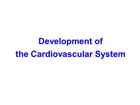 the Cardiovascular System