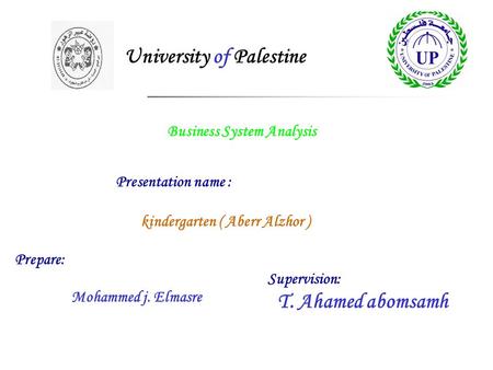 Business System Analysis