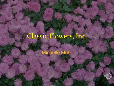 Classic Flowers, Inc. Michelle Mohr Our Products Potted Flowers  Three sizes (small, medium, large)  Two types of pots (regular and premium) Bouquets.