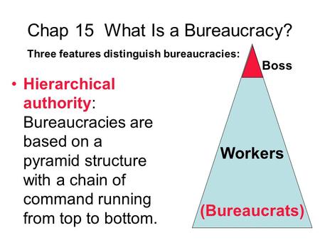 Chap 15 What Is a Bureaucracy?