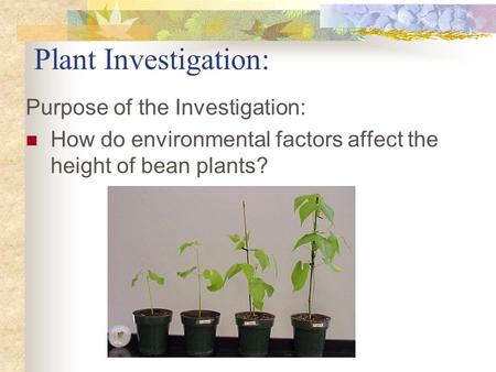 Plant Investigation: Purpose of the Investigation: How do environmental factors affect the height of bean plants?