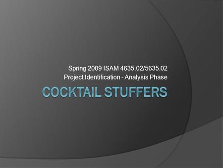 Spring 2009 ISAM 4635.02/5635.02 Project Identification - Analysis Phase.