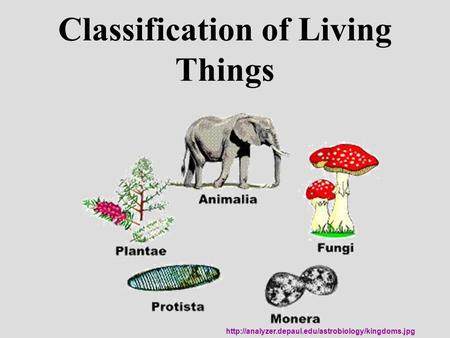 Classification of Living Things