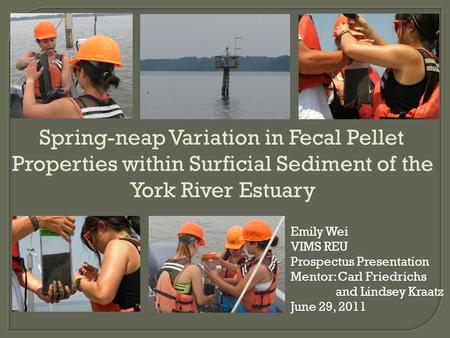 Spring-neap Variation in Fecal Pellet Properties within Surficial Sediment of the York River Estuary Emily Wei VIMS REU Prospectus Presentation Mentor: