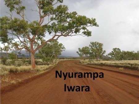 Nyurampa Iwara. Project Objectives  Form Partnership and collaboration through direct engagement with APY Board, Traditional Owners and Community Leaders.