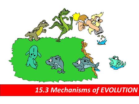 15.3 Mechanisms of EVOLUTION