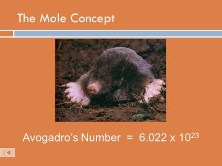 The Mole Concept Avogadro’s Number = 6.022 x 10 23.