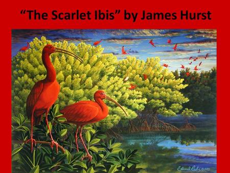 “The Scarlet Ibis” by James Hurst