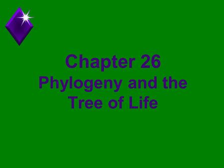 Chapter 26 Phylogeny and the Tree of Life