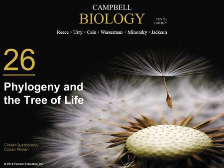 Phylogeny and the Tree of Life