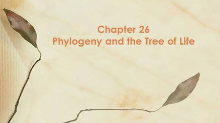 Chapter 26 Phylogeny and the Tree of Life