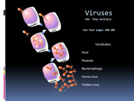 Viruses How they multiply. See text pages 208-209 Vocabulary Host Parasite Bacteriophage Active virus Hidden virus.