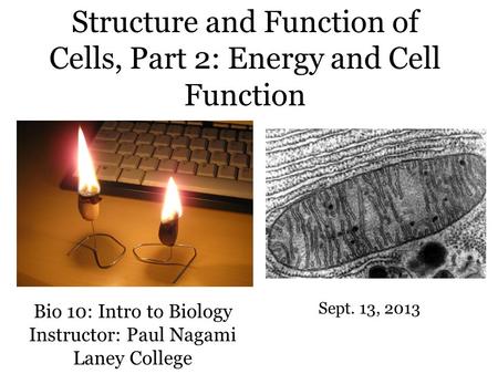 Bio 10: Intro to Biology Instructor: Paul Nagami Laney College Sept. 13, 2013 Structure and Function of Cells, Part 2: Energy and Cell Function.