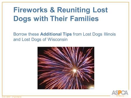 © 2014 ASPCA ®. All Rights Reserved. Fireworks & Reuniting Lost Dogs with Their Families Borrow these Additional Tips from Lost Dogs Illinois and Lost.