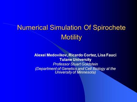 Numerical Simulation Of Spirochete Motility Alexei Medovikov, Ricardo Cortez, Lisa Fauci Tulane University Professor Stuart Goldstein (Department of Genetics.