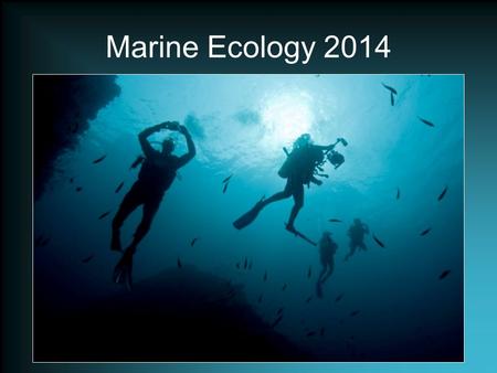 Marine Ecology 2014. Welcome Exploring the underwater world is both fun and serious. Scuba diving is enjoyed by millions of people all over the world.