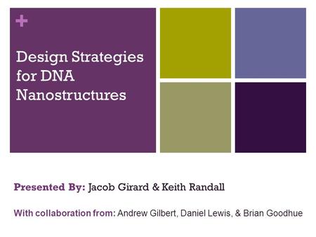 + Design Strategies for DNA Nanostructures Presented By: Jacob Girard & Keith Randall With collaboration from: Andrew Gilbert, Daniel Lewis, & Brian Goodhue.