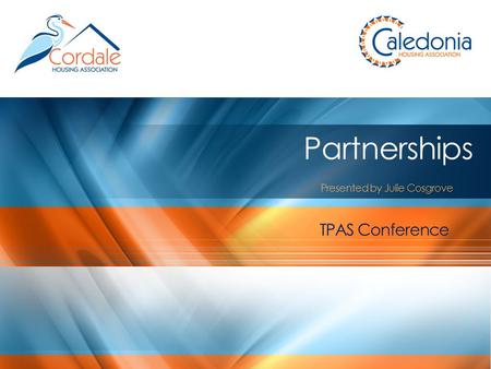 Partnerships Presented by Julie Cosgrove TPAS Conference.