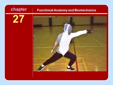 Functional Anatomy and Biomechanics