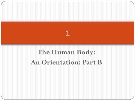 The Human Body: An Orientation: Part B