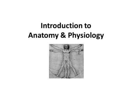 Introduction to Anatomy & Physiology