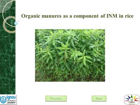 Organic manures as a component of INM in rice Next Previous.