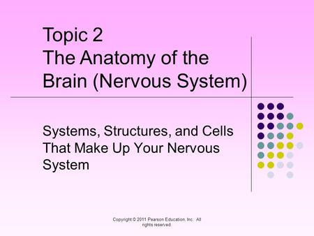 Copyright © 2011 Pearson Education, Inc. All rights reserved. Systems, Structures, and Cells That Make Up Your Nervous System Topic 2 The Anatomy of the.