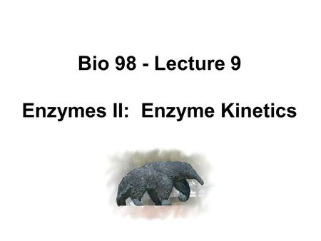 Enzymes II: Enzyme Kinetics