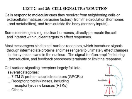 LECT 24 and 25: CELL SIGNAL TRANSDUCTION Cells respond to molecular cues they receive: from neighboring cells or extracellular matrices (paracrine factors),