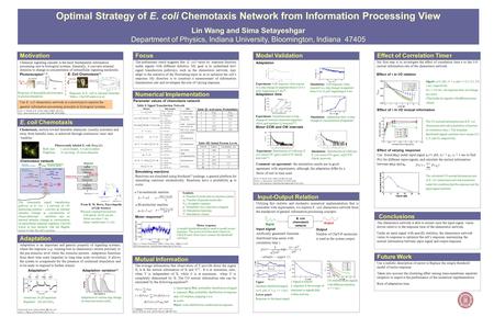 The chemotaxis network is able to extract once the input signal varies slower relative to the response time of the chemotaxis network. Under an input signal.