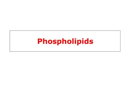 Phospholipids. Phospholipids & Glycolipids Phospholipids (PL) alcohol phosphodiester bridge PL are composed of an alcohol (ethanolamine, serine, choline,