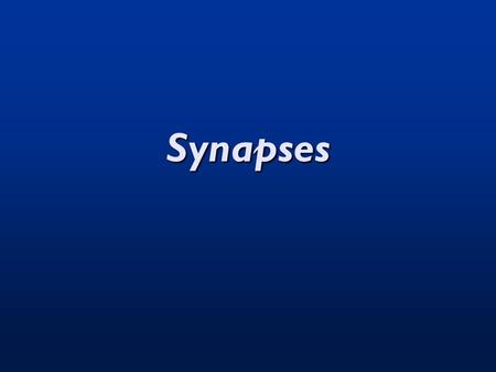 Synapses.