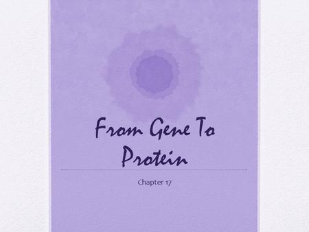 From Gene To Protein Chapter 17. From Gene to Protein The “Central Dogma of Molecular Biology” is DNA  RNA  protein Meaning that our DNA codes our RNA.