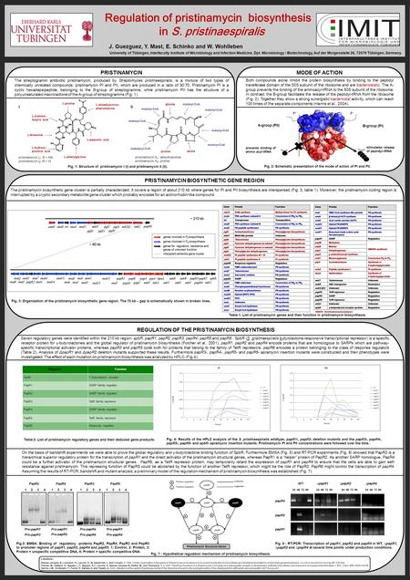 Regulation of pristinamycin biosynthesis in S. pristinaespiralis J. Guezguez, Y. Mast, E. Schinko and W. Wohlleben University of Tübingen, interfaculty.