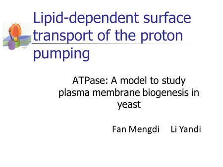 Lipid-dependent surface transport of the proton pumping