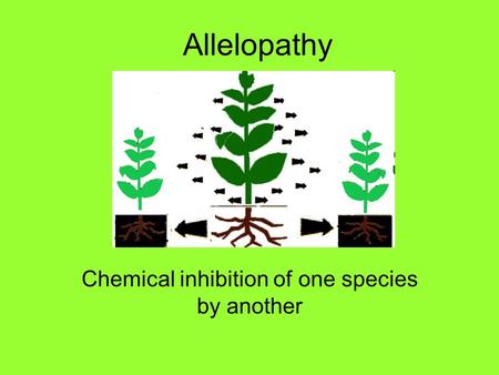 Chemical inhibition of one species by another