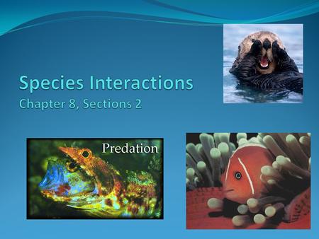 Populations are limited Limiting Factors : things in the environment that keep a population from growing out of control.