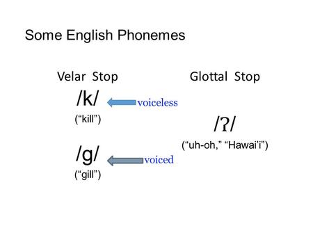 /k/ /Ɂ/ /g/ Some English Phonemes Velar Stop Glottal Stop voiceless