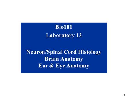 Neuron/Spinal Cord Histology Brain Anatomy Ear & Eye Anatomy