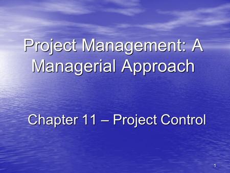 Project Management: A Managerial Approach