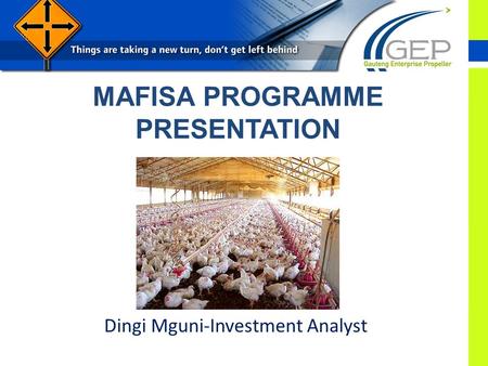 MAFISA PROGRAMME PRESENTATION Dingi Mguni-Investment Analyst.