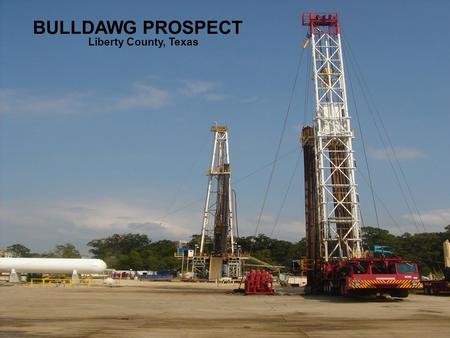 BULLDAWG PROSPECT Liberty County, Texas. HOUSTON, Oct. 5, 2005 PRNewswire-First Call -- Carrizo Oil & Gas, Inc. (Nasdaq: CRZO) announced today that.