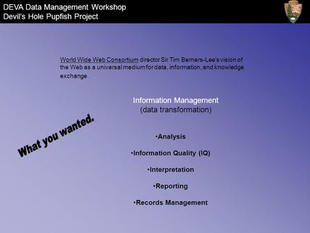 Information Management (data transformation) Analysis Information Quality (IQ) Interpretation Reporting Records Management World Wide Web Consortium director.