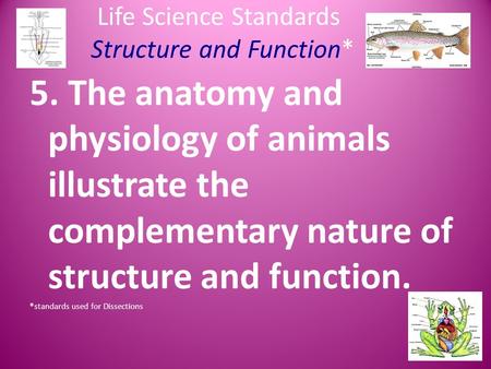 Life Science Standards Structure and Function* 5. The anatomy and physiology of animals illustrate the complementary nature of structure and function.