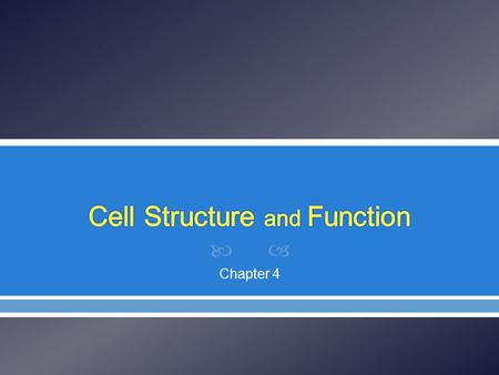  Chapter 4.  Section 1  Schleiden concluded: 1838 - All plants were composed of cells  Schwann concluded: 1839 - All animals were composed.