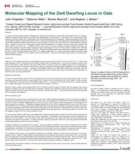 Agriculture and Agri-Food Canada Agriculture et Agroalimentaire Canada 2006 Molecular Mapping of the Dw6 Dwarfing Locus in Oats Abstract In crosses involving.